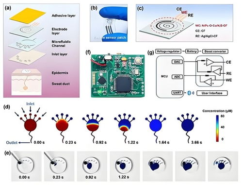中科數惠以網絡科技賦能，成功助力中西醫結合糖尿病防治系統創新